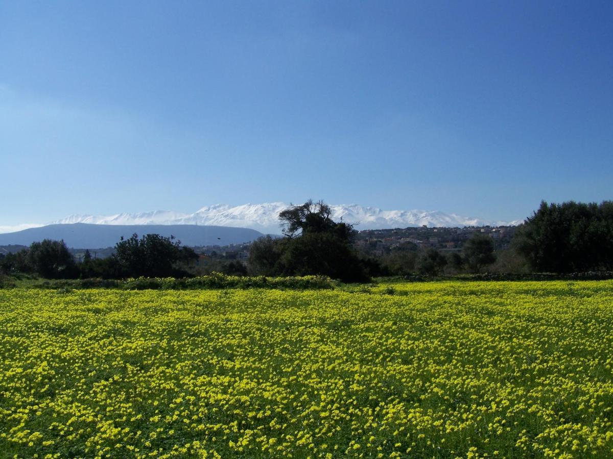 Manolo S Olive Farm, Apartment With Seaview Chania  ภายนอก รูปภาพ