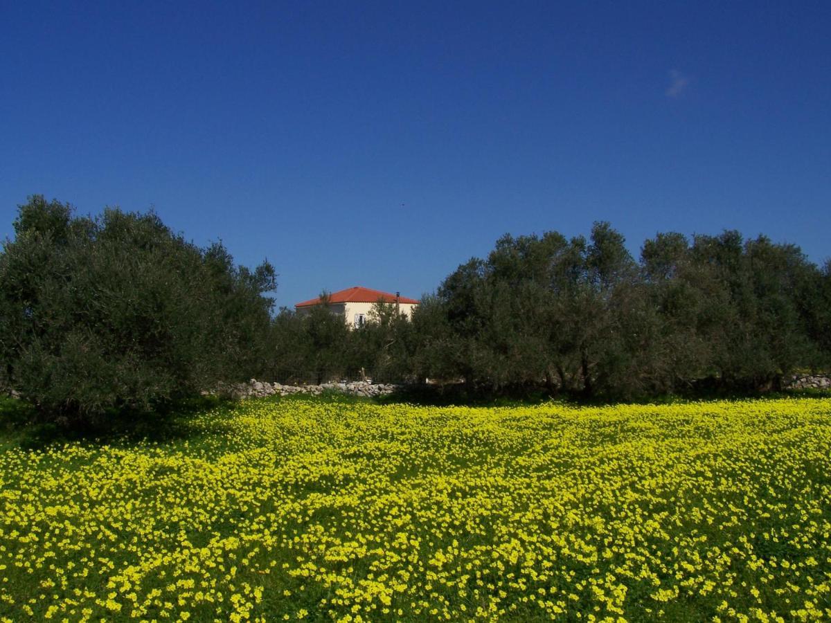 Manolo S Olive Farm, Apartment With Seaview Chania  ภายนอก รูปภาพ