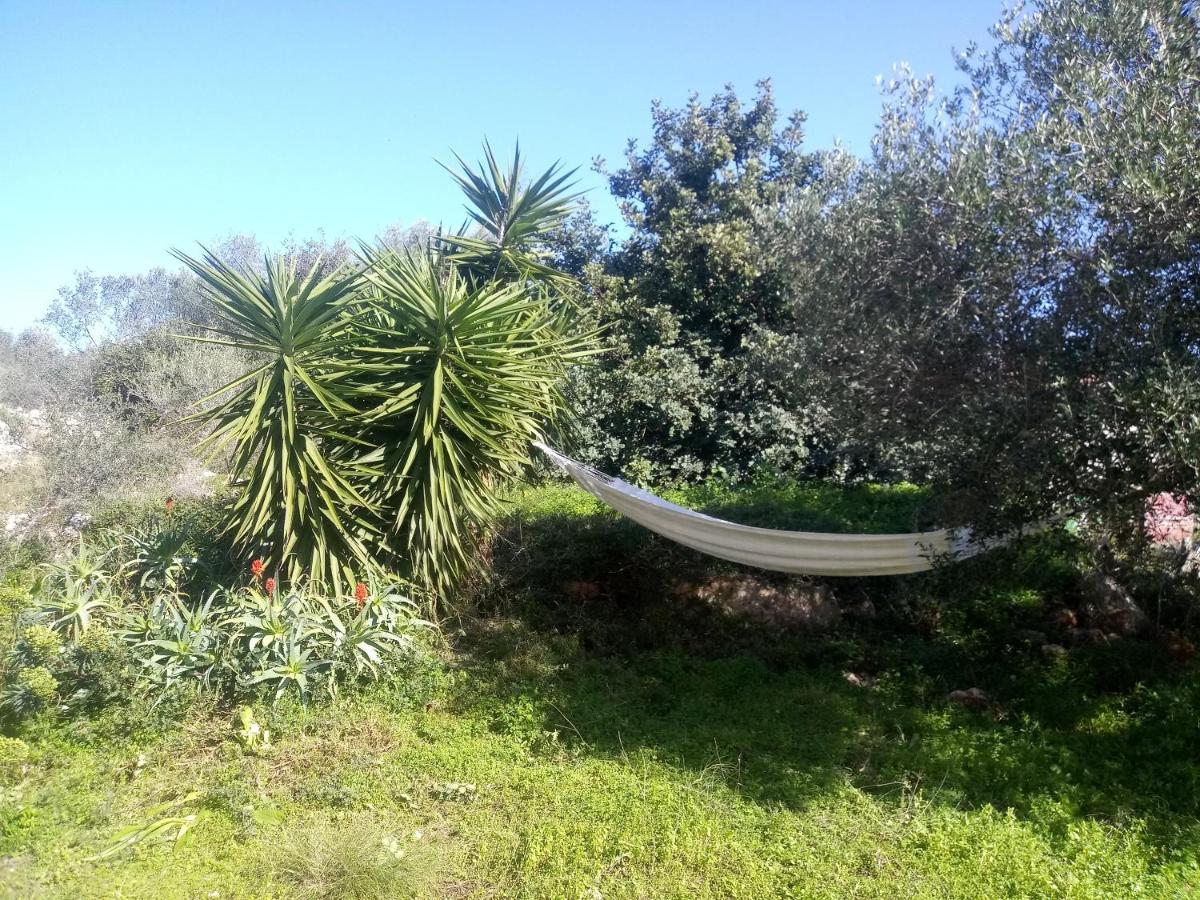 Manolo S Olive Farm, Apartment With Seaview Chania  ภายนอก รูปภาพ