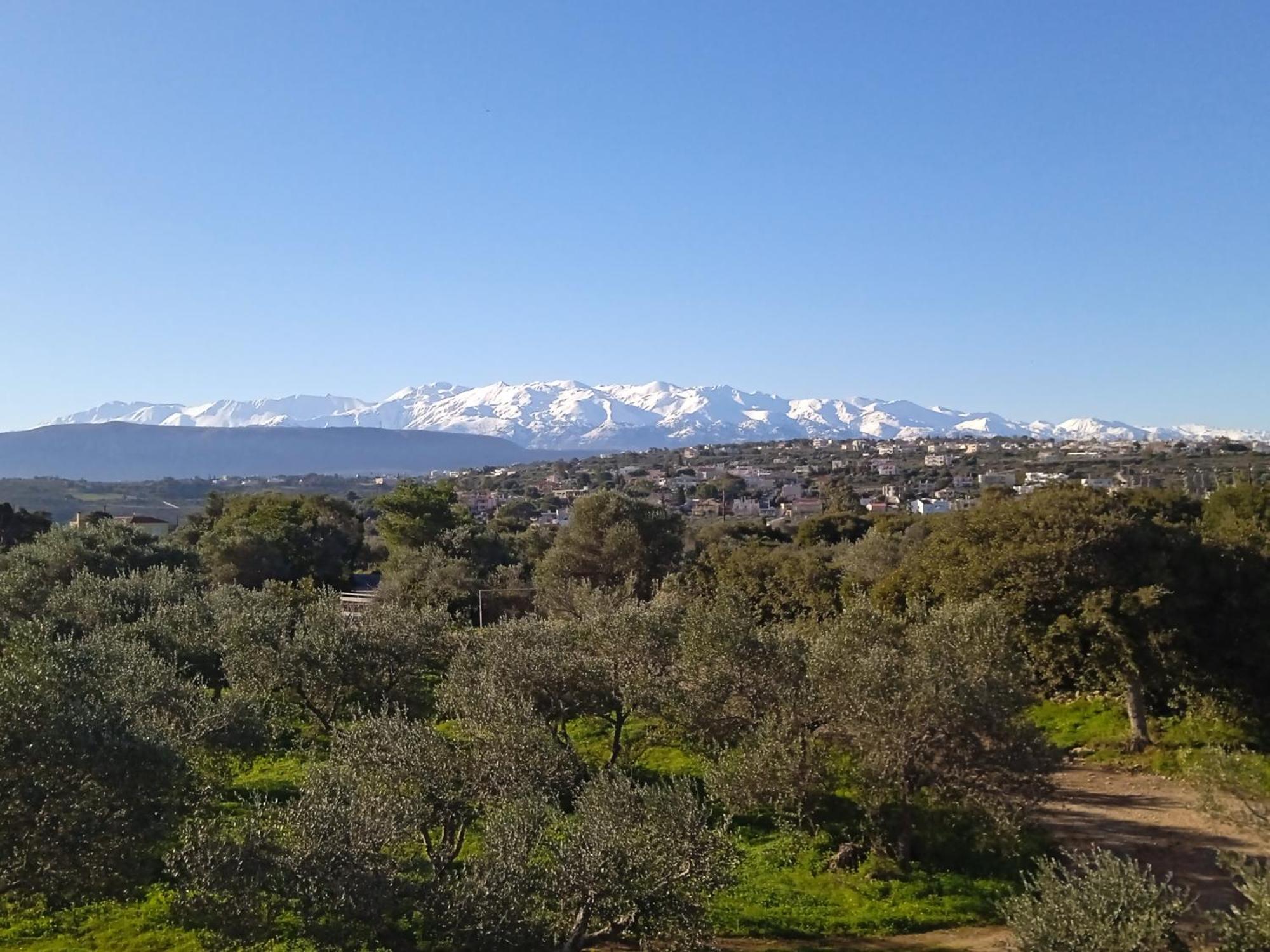 Manolo S Olive Farm, Apartment With Seaview Chania  ภายนอก รูปภาพ
